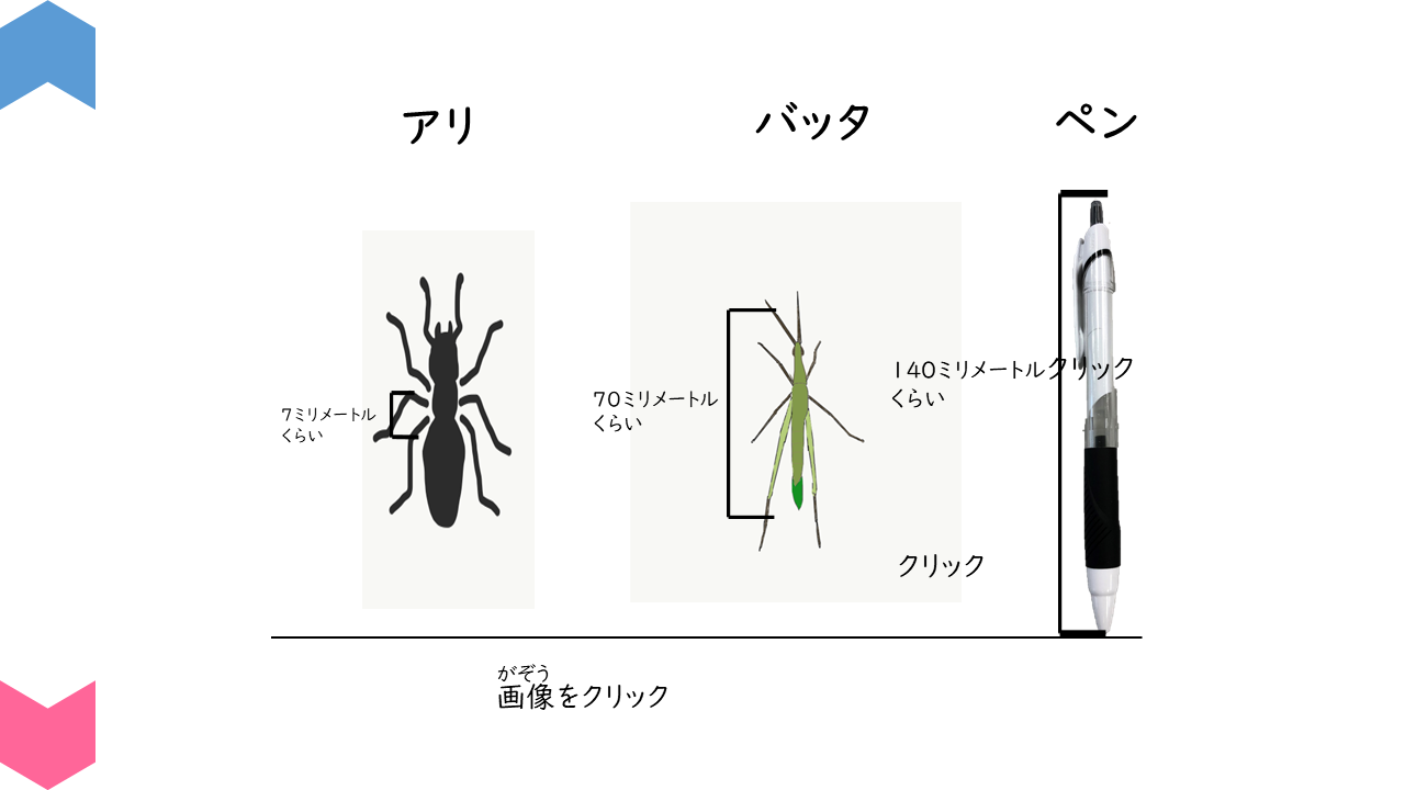 04001[sc]Insects
