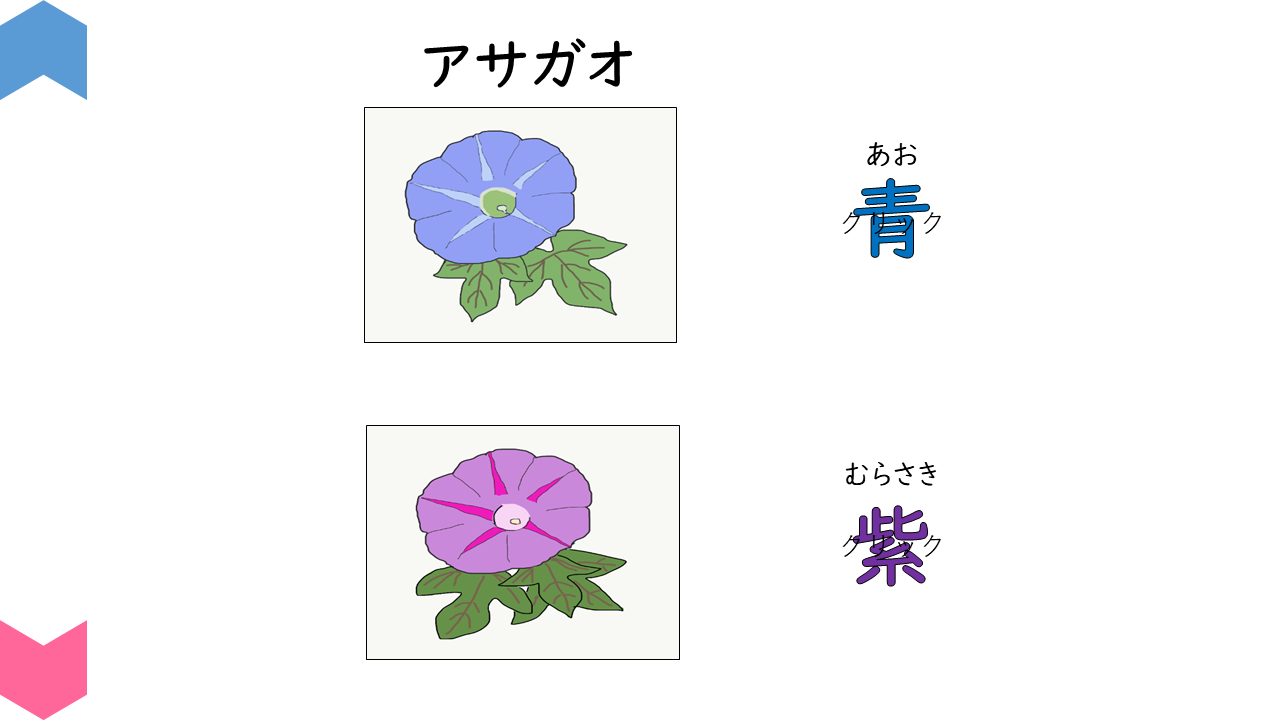 04002[sc]plants