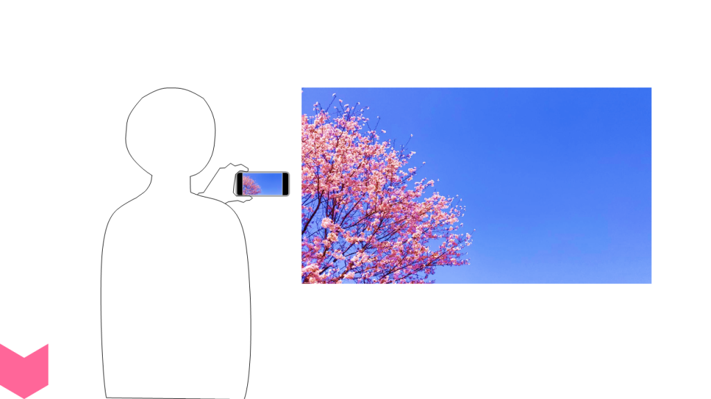 11002[in]WhatIsThatPicture